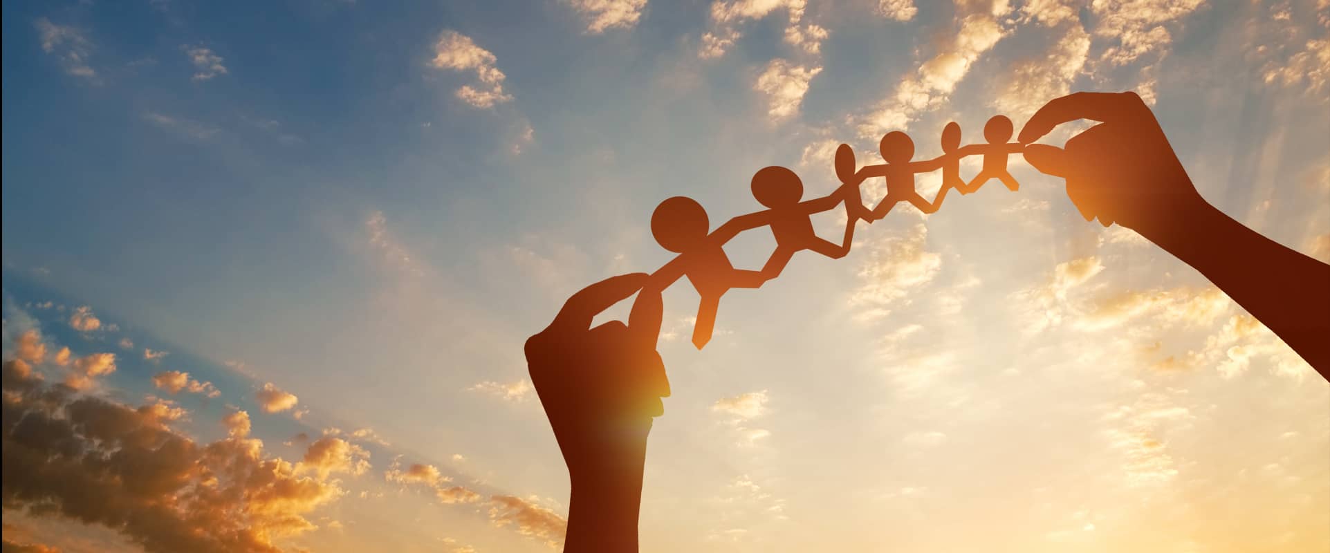 �ò���������