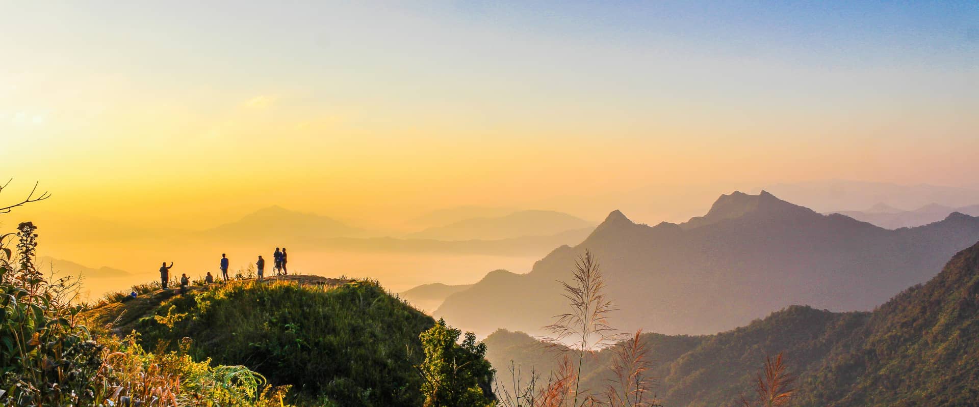 �ò���������