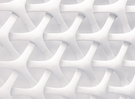 �ò���������