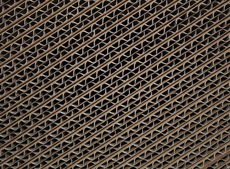 �ò���������