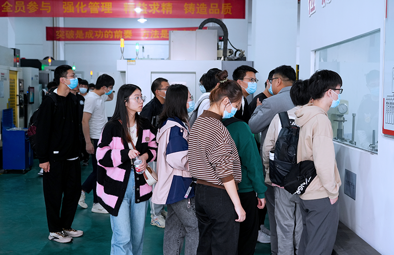 �ò���������