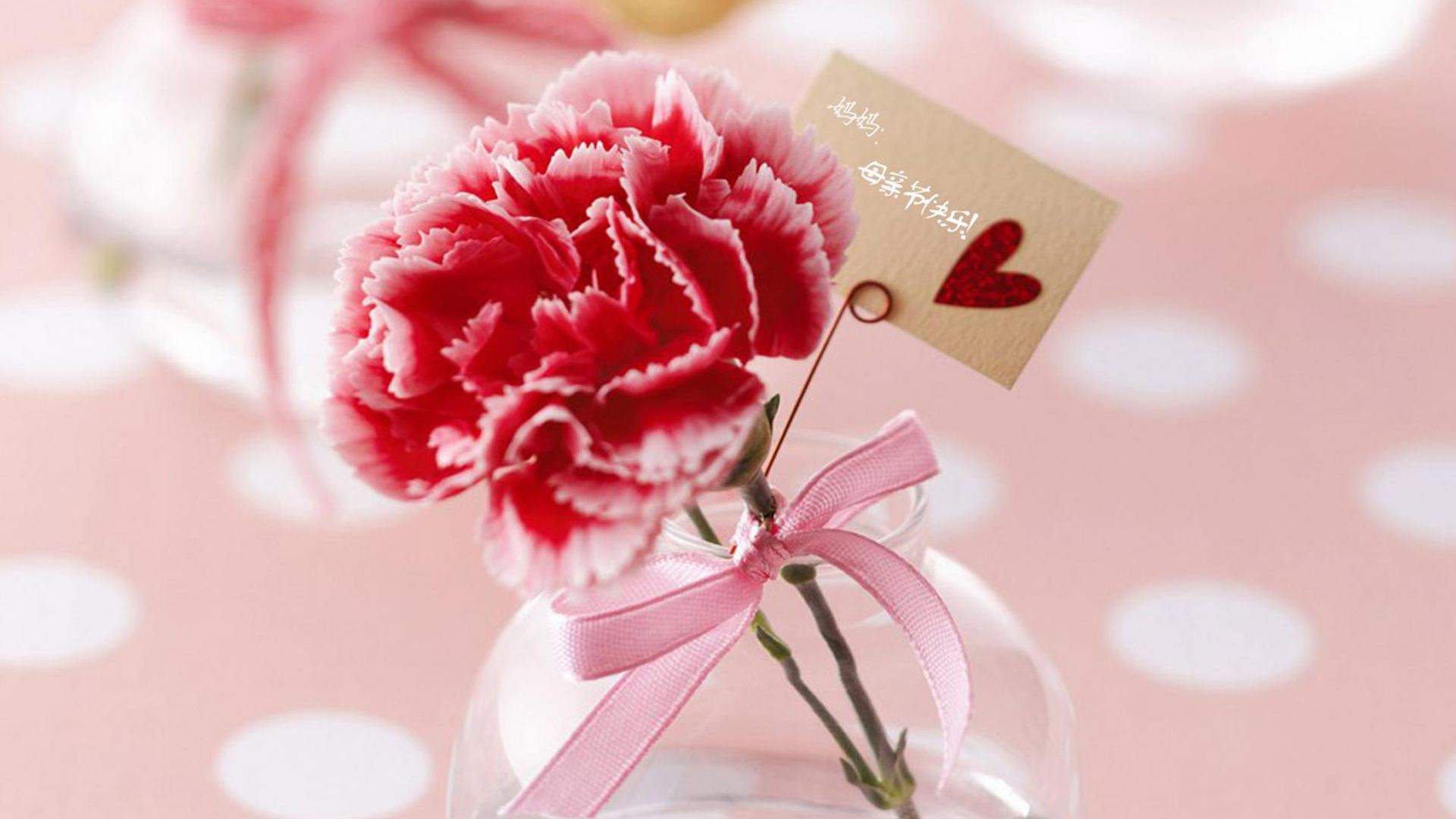 �ò���������