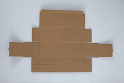 �ò���������