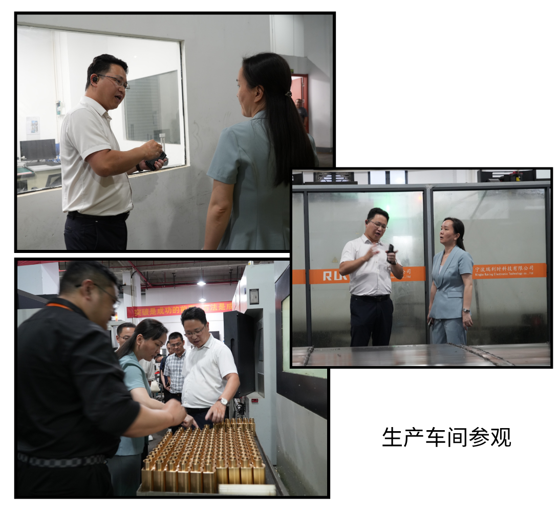 �ò���������